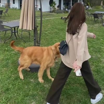 爆丸小子